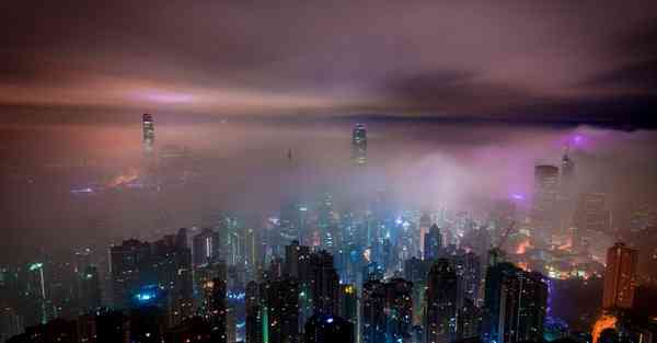 坚果永久下载地址